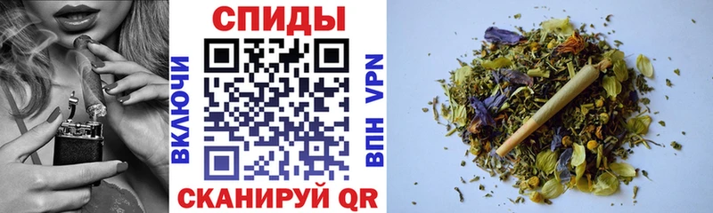 мориарти какой сайт  Каспийск  Бутират оксана 
