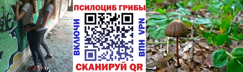 Псилоцибиновые грибы мухоморы  Каспийск 